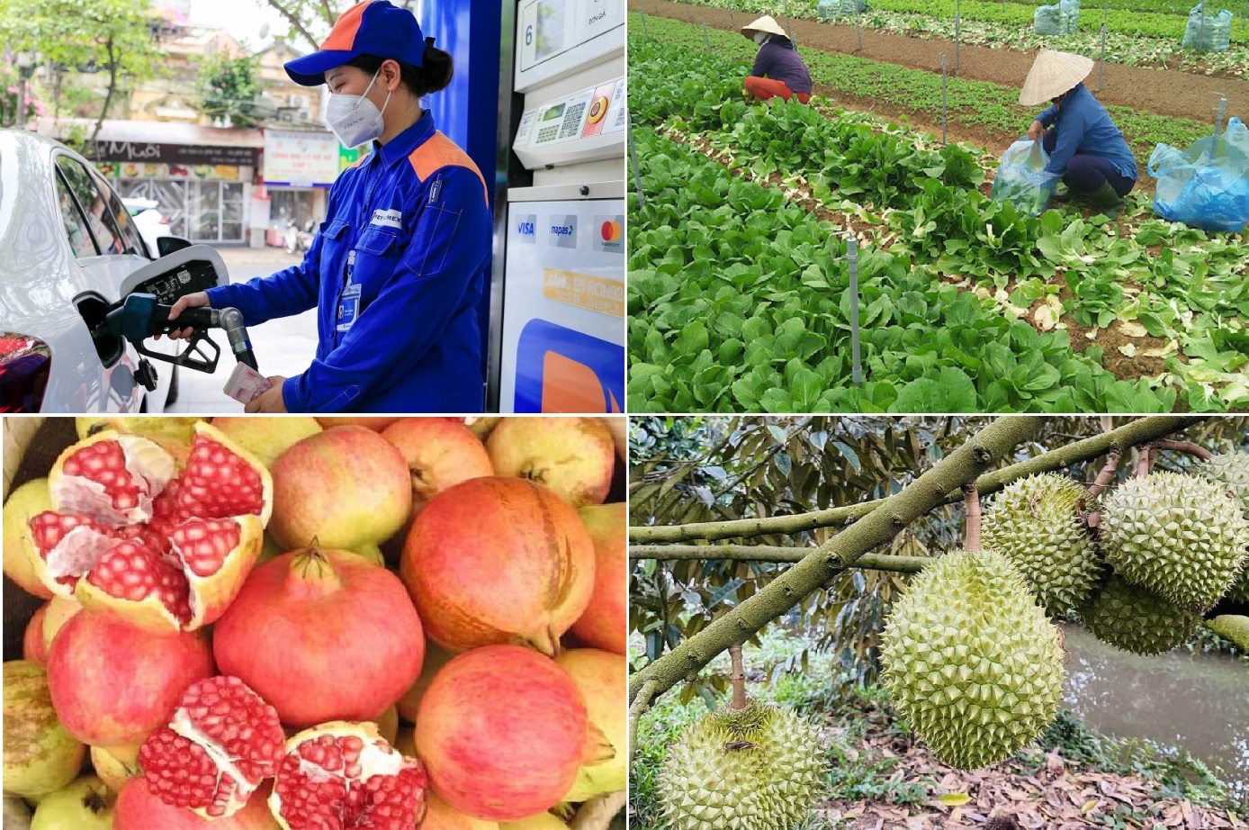 Tiêu dùng trong tuần (23-29/10/2023): Nhiều hàng hóa tăng giá mạnh